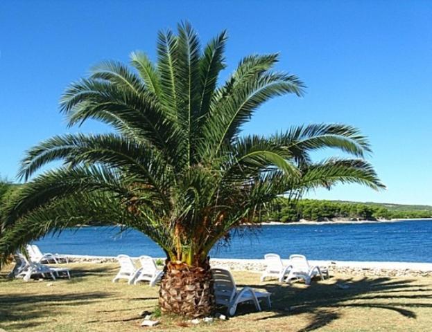 Villa Mia Casa Supetar Buitenkant foto